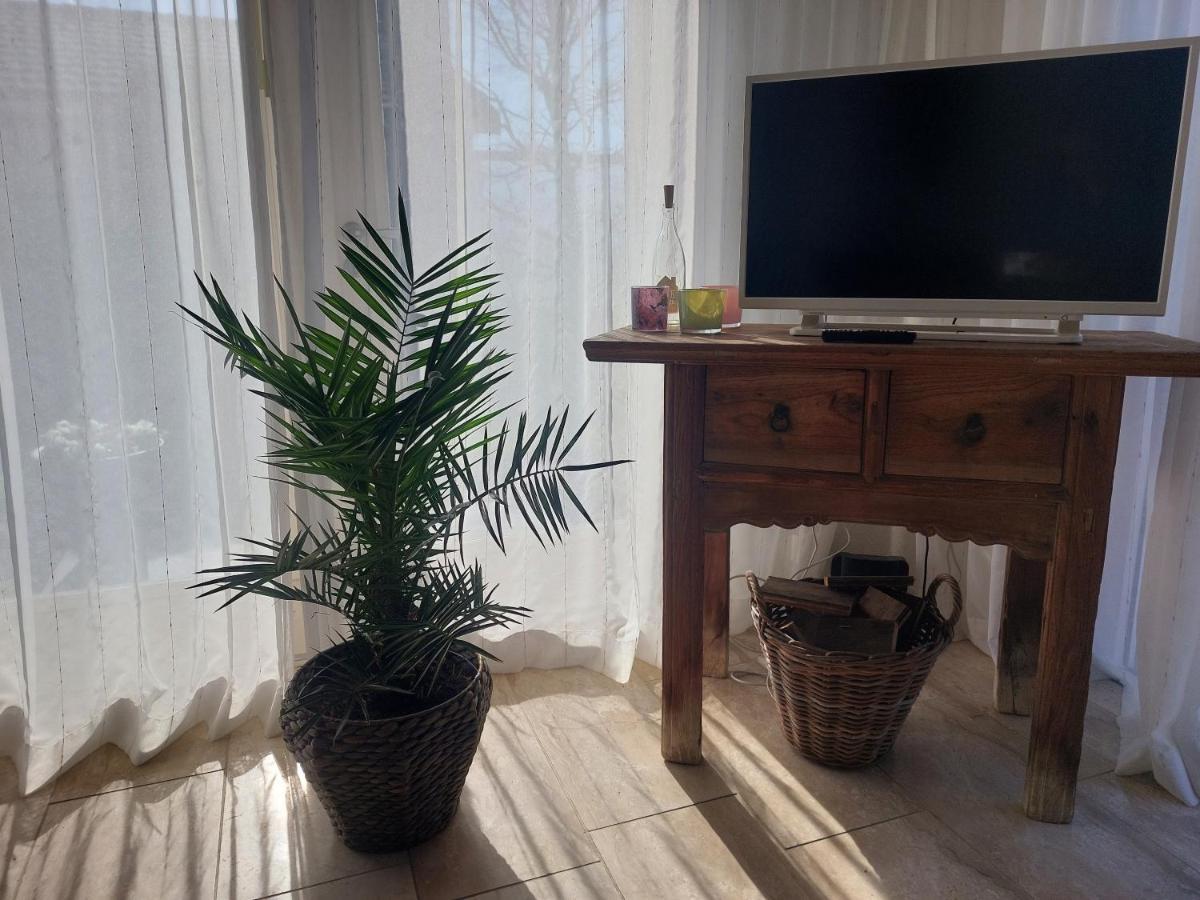 Cosy Petten, Family Only Eksteriør billede